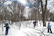 ���ёт̓o��