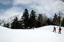 �吙�x���������