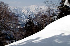 ��[�������x