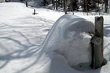 ��ɖ������ē���