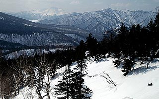 ��ɕ�܂ꂽ�����R