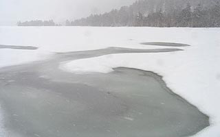 �r�����~�ɋt�߂�E�E�E