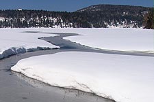 �V��ŕ���ꂽ��