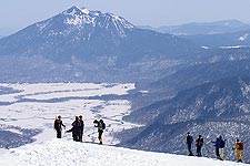 �����C�������I