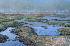 ���w����